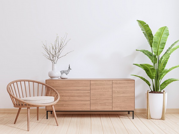 植物と家具